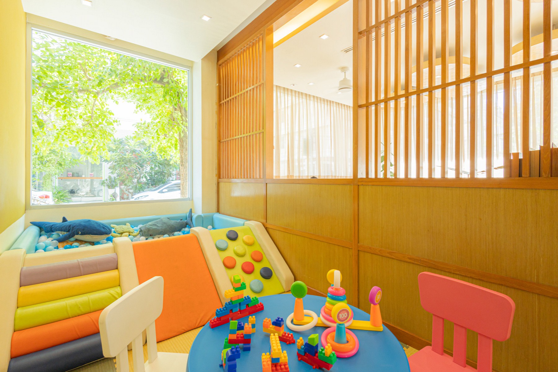Kids Play Room